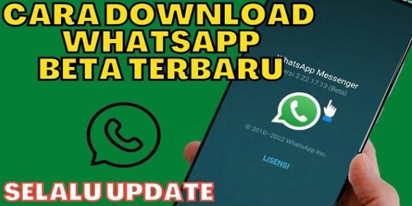 Download WhatsApp Beta Apk iOS Mod