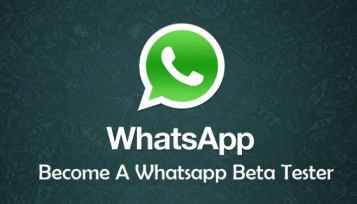 Ulasan Tentang WhatsApp Beta Apk Terbaru